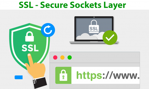 Chứng chỉ số SSL là gì?<span class=