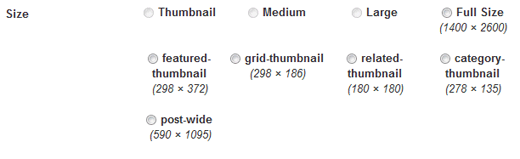 Additional Image Sizes for Posts